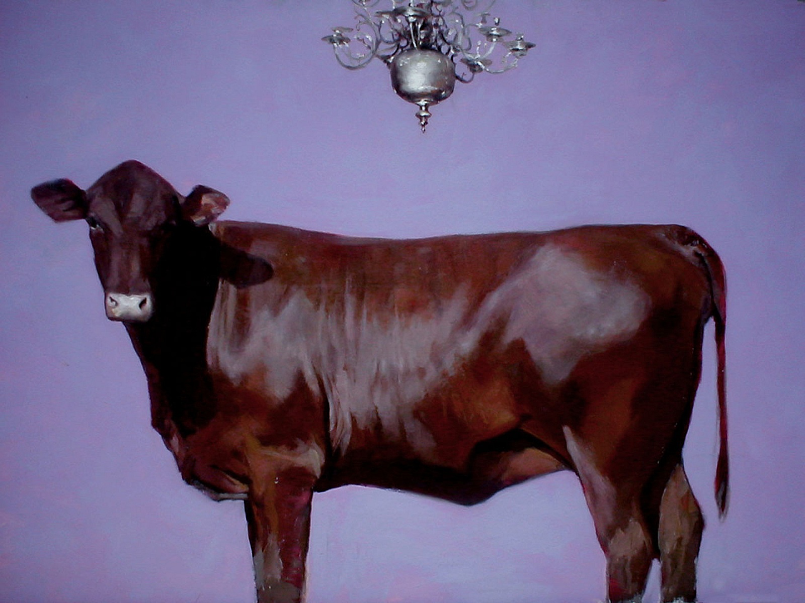 Purple Cow - 2003, oil on canvas, 150 x 210, private collection, RO - 15