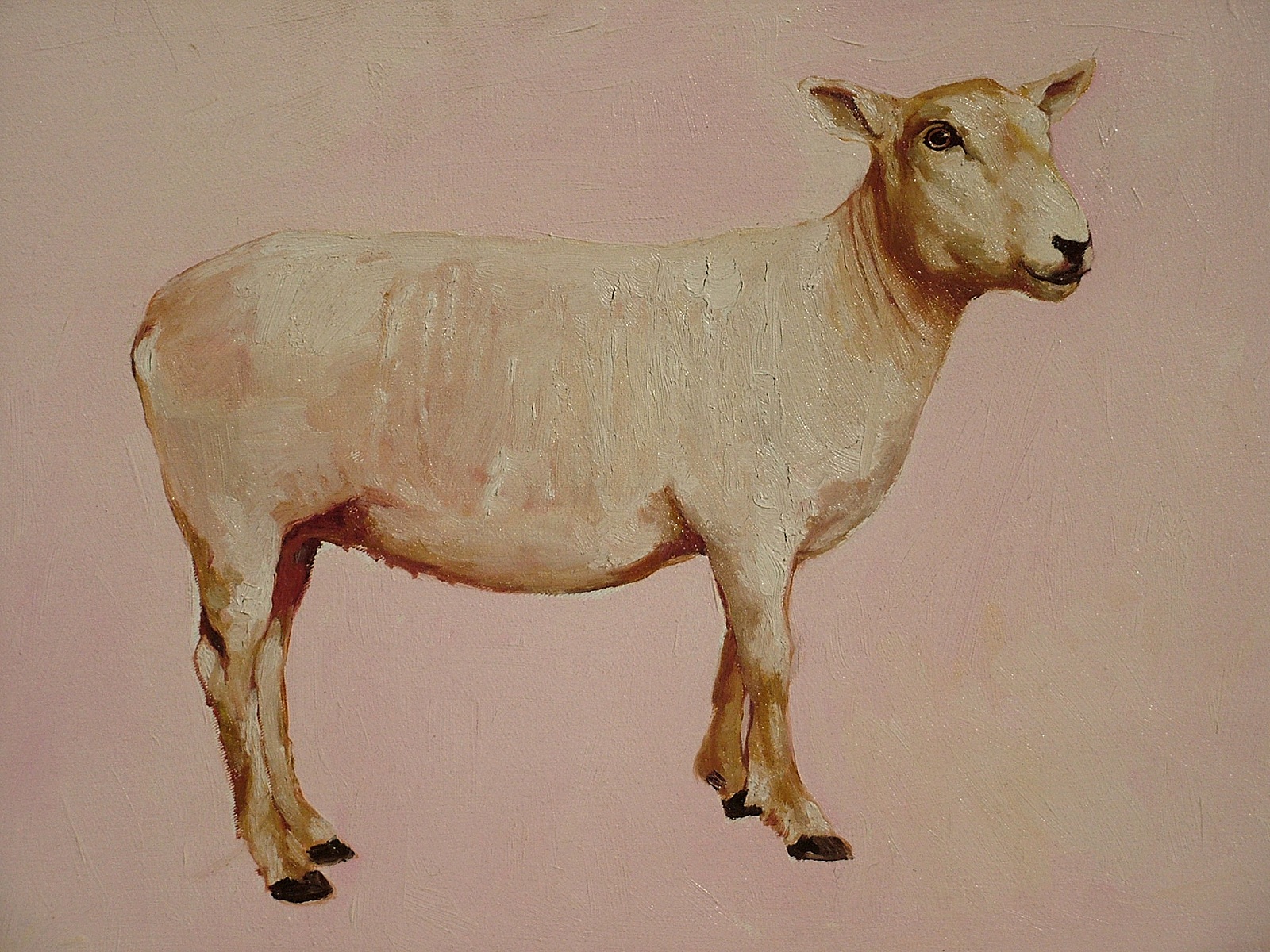 Lamb - 2003, oil on canvas, 45 x 110 cm,   private collection, RO - 16