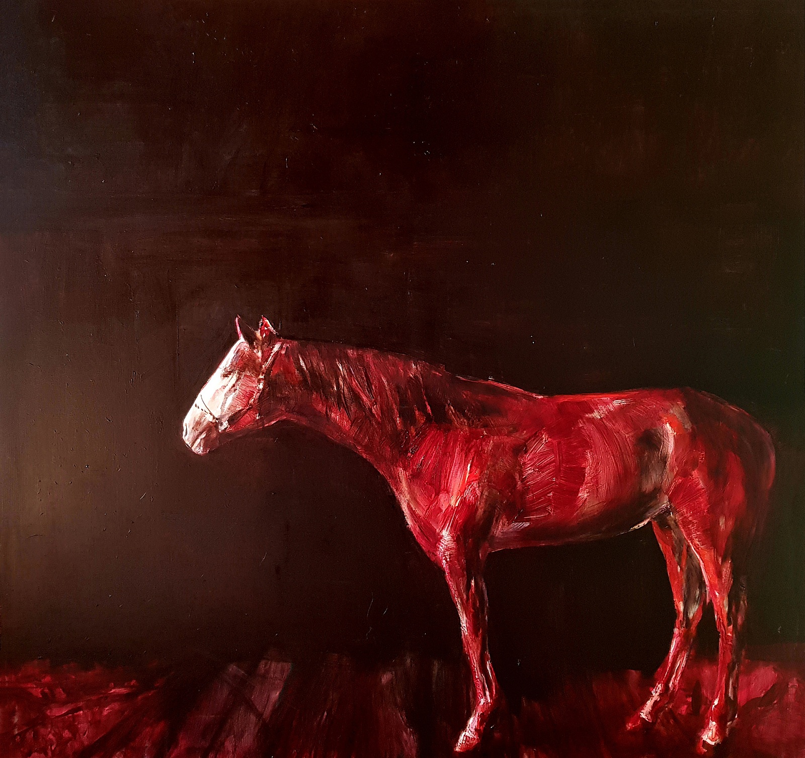 Deep Red Horse - 2018, oil on canvas, 180 x 190 cm, private collection, Italy - 4